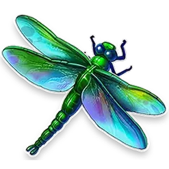 icon 4