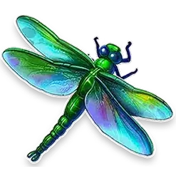 icon 4