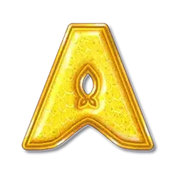 icon 6