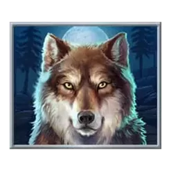 icon 4