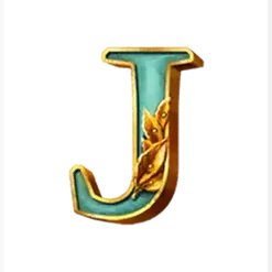 icon 10