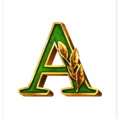 icon 7
