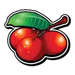 icon 4