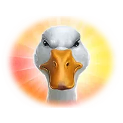 icon 4