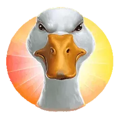 icon 4