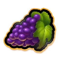 icon 6