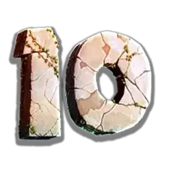 icon 9