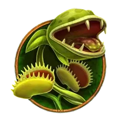 icon 4