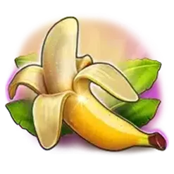 icon 1