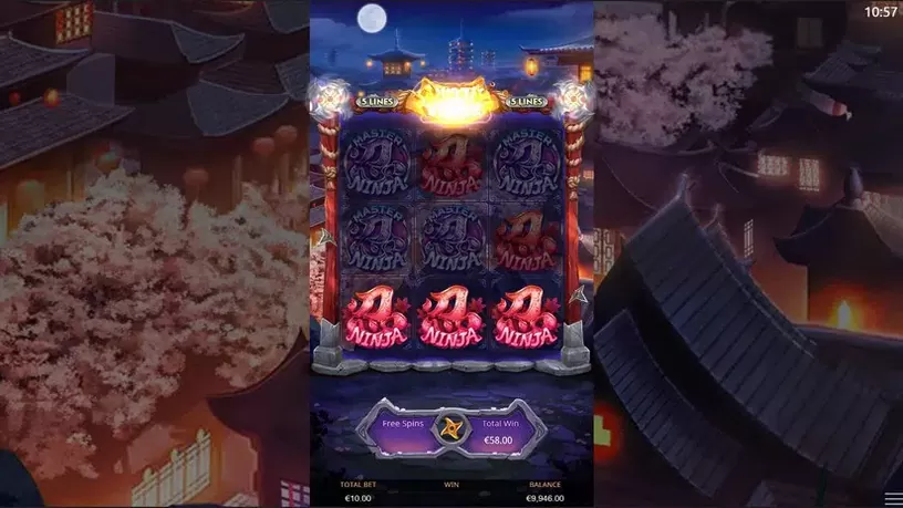 Ninja Vixens slot screenshot 5
