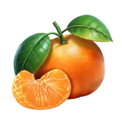 icon 6