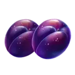 icon 7
