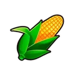 icon 6