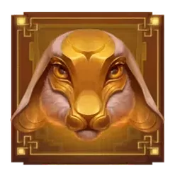 icon 5