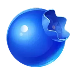 icon 4