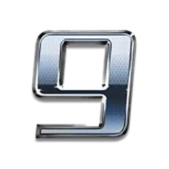 icon 13