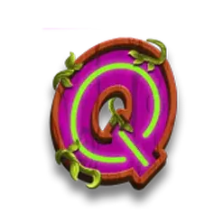 icon 9