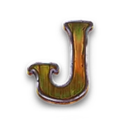 icon 9