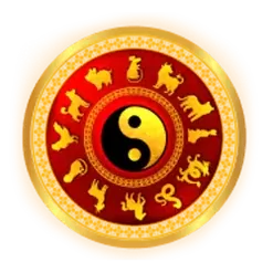 icon 5