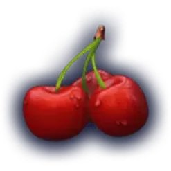 icon 5