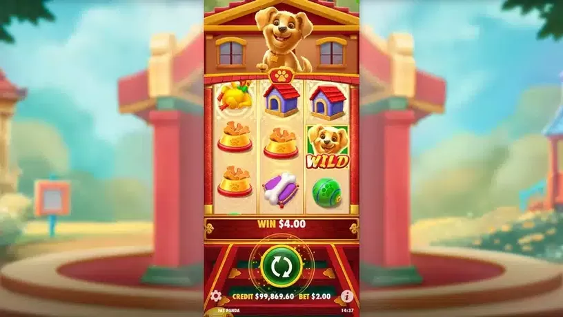 Cachorro Sortudo slot screenshot 4