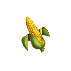 icon 6