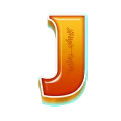 icon 9