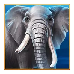 icon 2