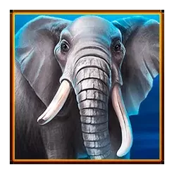 icon 2