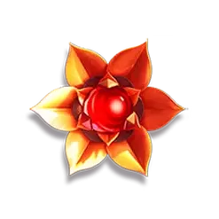 icon 3