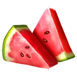 icon 4