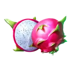 icon 2