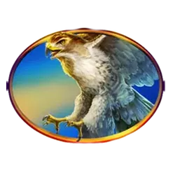 icon 4