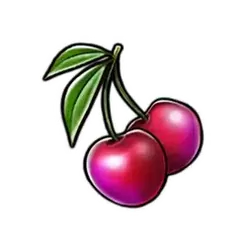 icon 9