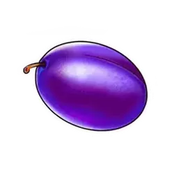 icon 6