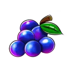 icon 5