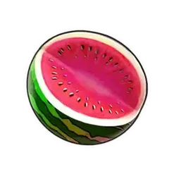icon 4