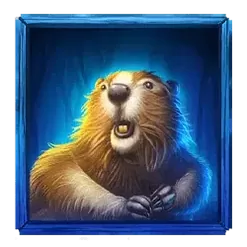 icon 4