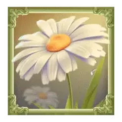 icon 4