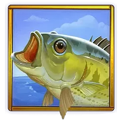 icon 10