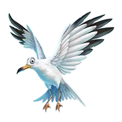 icon 2
