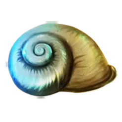 icon 5