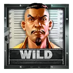 icon 1
