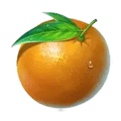 icon 6