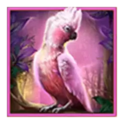 icon 1