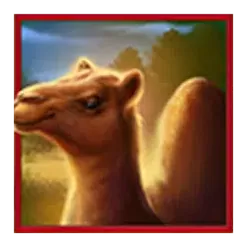 icon 3