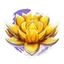 icon 2