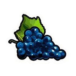icon 5