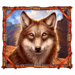 icon 4