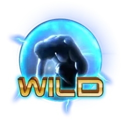 icon 1